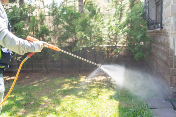 Best Mosquito Control  in Wentworth, NC